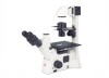 Microscopio Invertido triocular AE-31E Motic