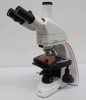 Microscopio triocular EPI/BG/LED Luzeren