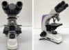 Microscopio binocular biologico 4 obj. Luzeren