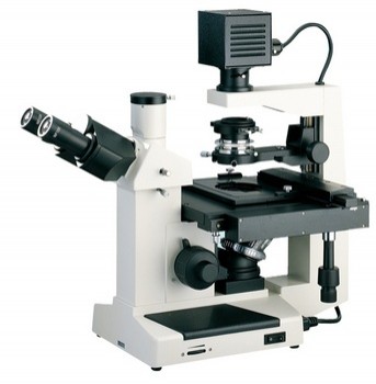 Microscopio Invertido Triocular Luzeren