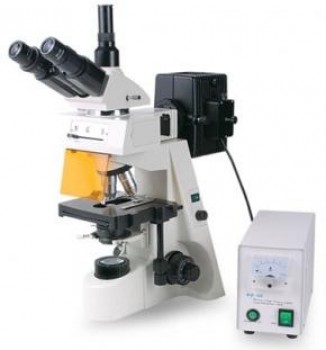 Microscopio triocular con epifluorescencia Luzeren