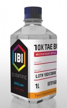 TAE 10X BUFFER 1 L IBI Scientific