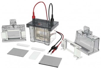 Camara de electroforesis vertical Dlab