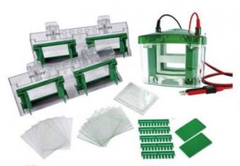Camara para electroforesis vertical  Luzeren