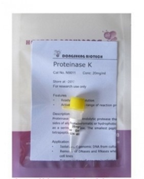 Proteinasa K 1ml DONGSHENG