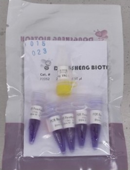 PCR  2X MIX KIT  DONGSHENG
