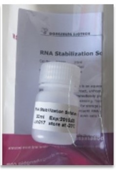 Solución estabilizadora de RNA, 100ml DONGSHENG